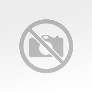 פרויקט איסוף כלבים