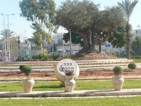 _SiteCollectionImages_%D7%AA%D7%9E%D7%95%D7%A0%D7%95%D7%AA%20%D7%9C%D7%9E%D7%91%D7%96%D7%A7%D7%99%D7%9D_%D7%90%D7%94%D7%91%D7%94-%D7%9B%D7%A4%D7%95%D7%9C%D7%94.jpg (1)