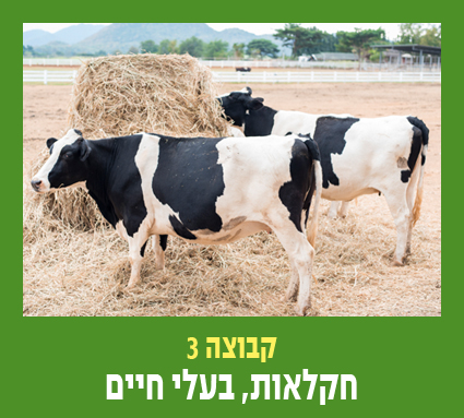 קבוצה 3 חקלאות בעלי חיים