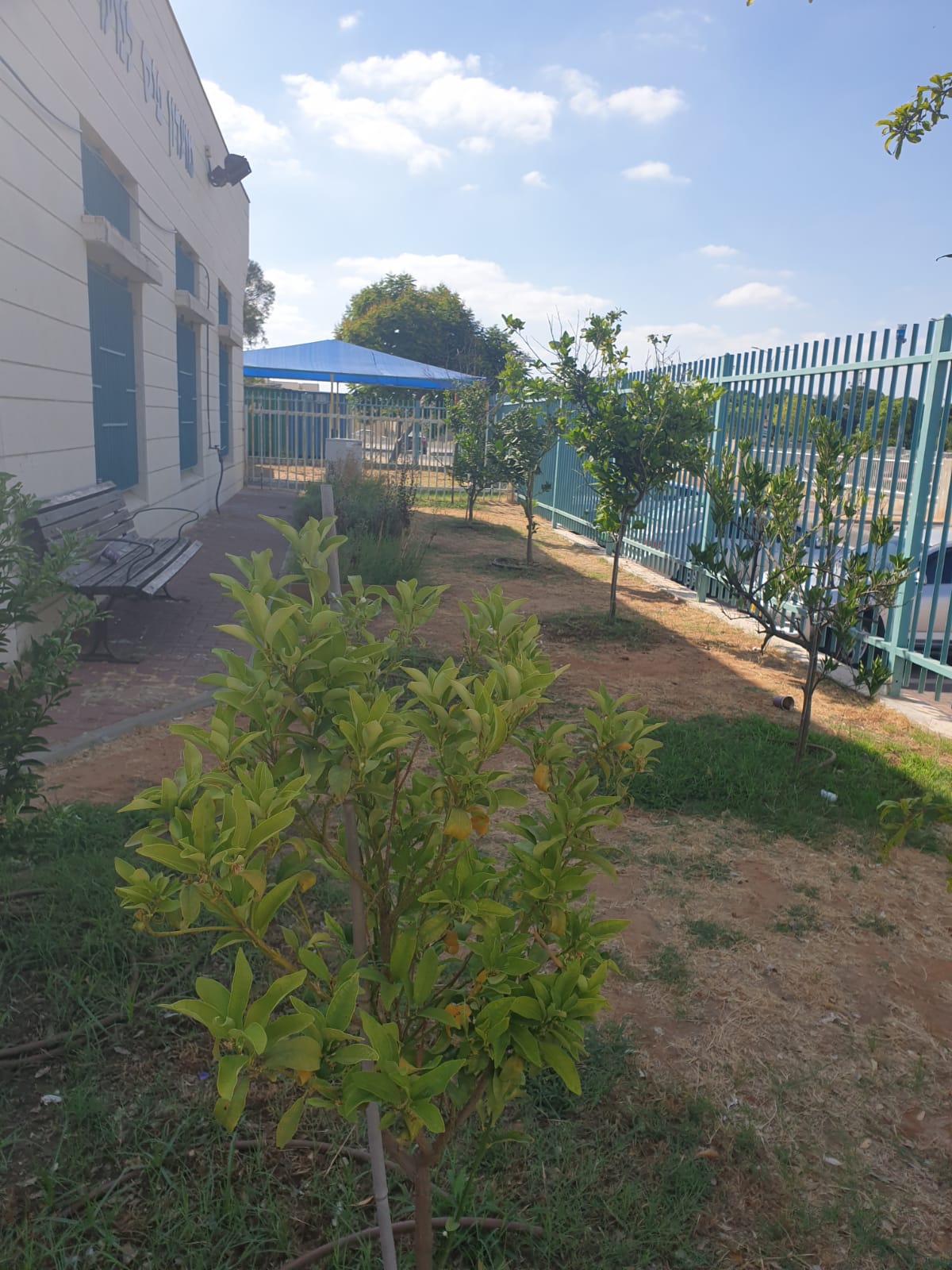 גינה קהילתית דיונה