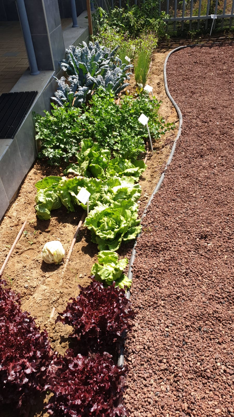 גינה טיפולית שהם