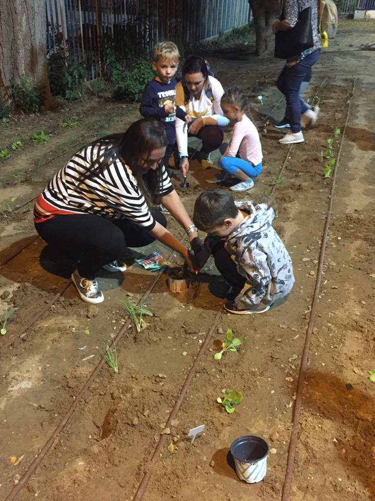 גינה קהילתית רובע ה