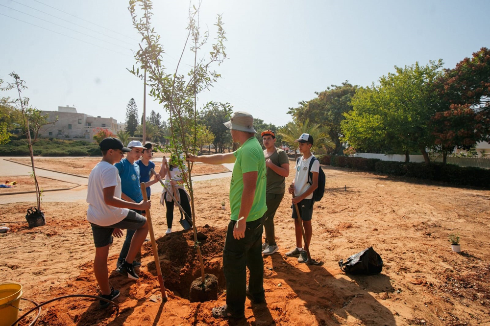 שתילות ביער מאכל