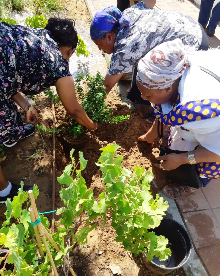 מועדון מגנניה