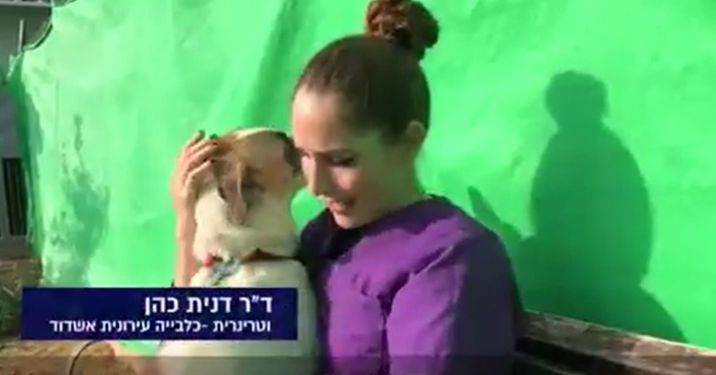 ד"ר דנית כהן בכלבייה העירונית