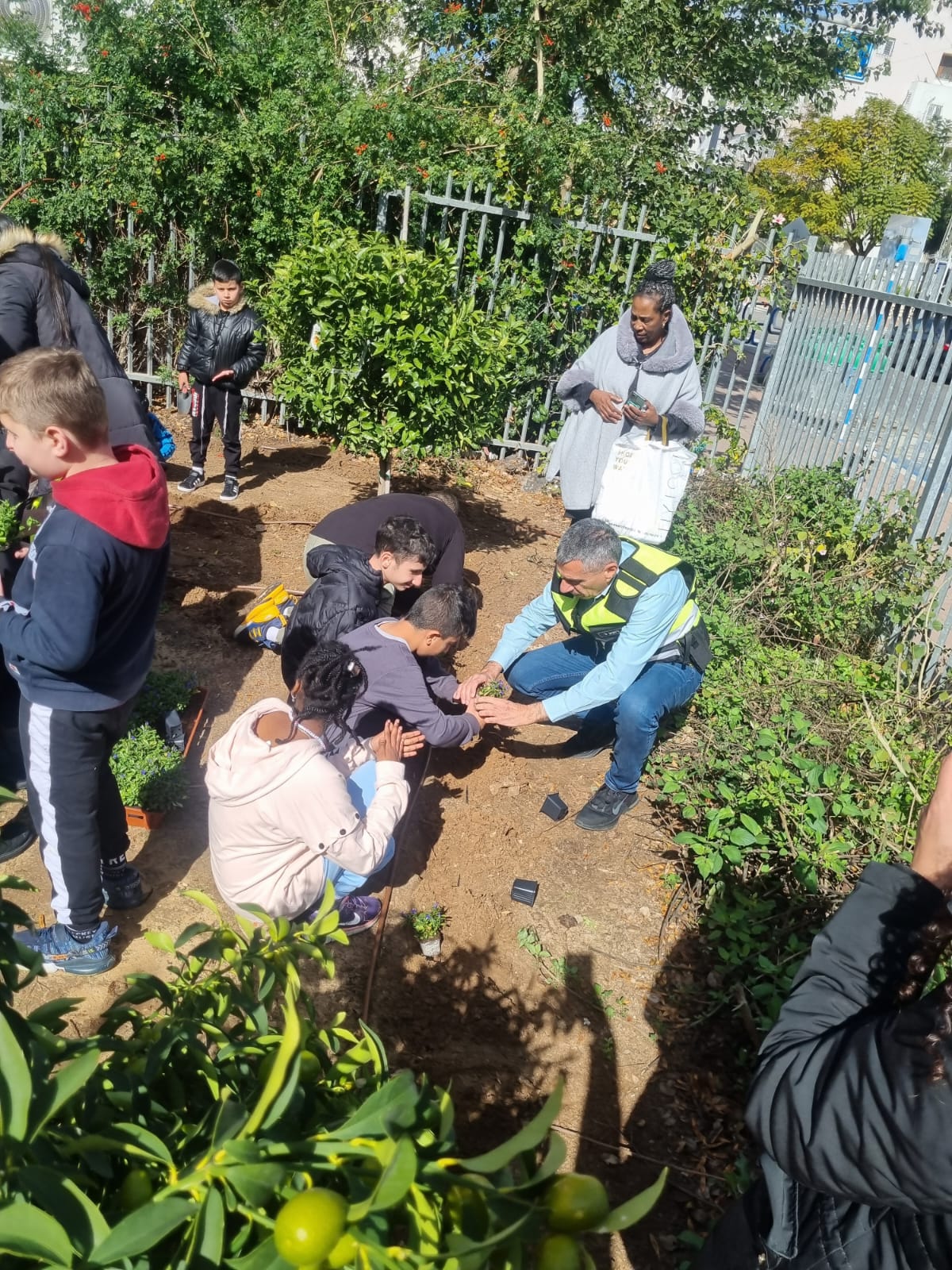 שתילה במינהלת רובע ג