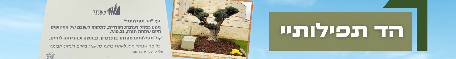 חטופים הד תפילותיי