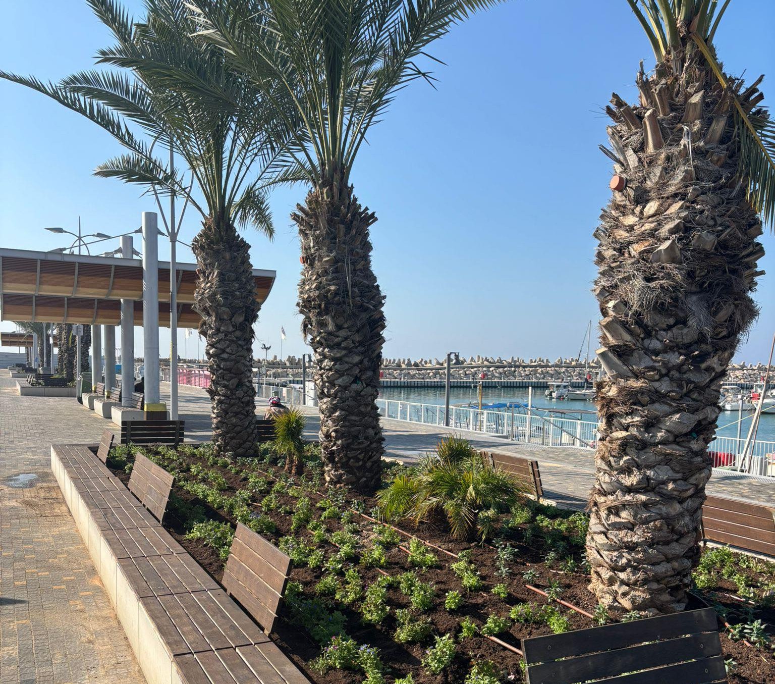 מטפחים מרחב ציבורי