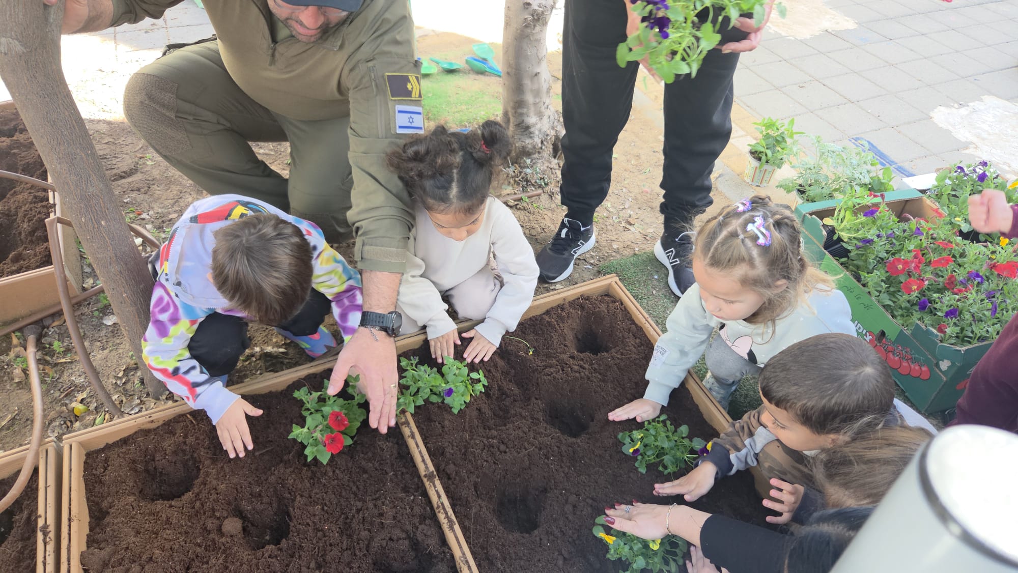 נטיעה בגן פעמונים