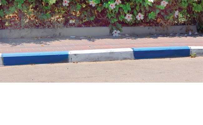 חניה חינם בכחול לבן